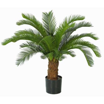 Palma decorativa Cycas SLITAL, 80cm