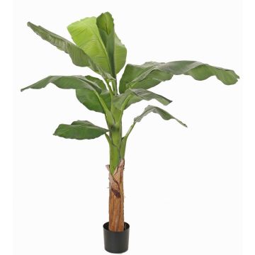 Albero di banano artificiale SCHWANA, 150cm