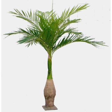 Palma Ravenea in plastica KOKIN, 265cm