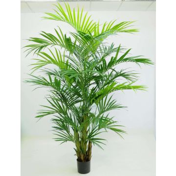 Palma Kentia artificiale PAIGE, 270cm