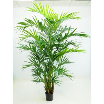 Palma Kentia artificiale PAIGE, 270 cm