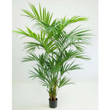Palma Kentia artificiale PAIGE, 220cm