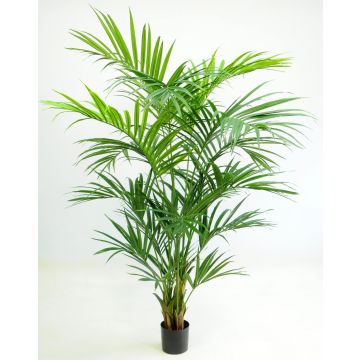 Palma Kentia artificiale PAIGE, 220 cm