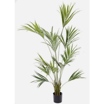 Palma Kentia artificiale PAIGE, 185cm