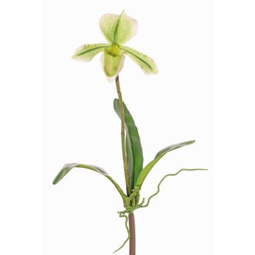 Orchidea Paphiopedilum artificiale VELANA, bastoncino, verde-bianco, 40cm