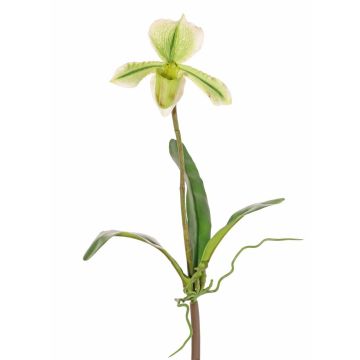 Orchidea Paphiopedilum artificiale VELANA, bastoncino, verde-bianco, 40 cm