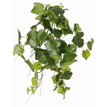 Decorazione appesa vite FODELE, crossdoor, bastoncino, verde, 60cm Decorazione appesa vite FODELE, crossdoor, bastoncino, verde, 60cm