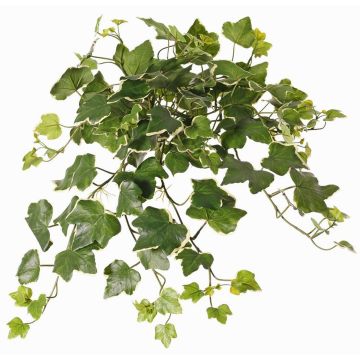 Edera artificiale appesa ARJANA, bastoncino, crossdoor, verde-bianco, 50cm