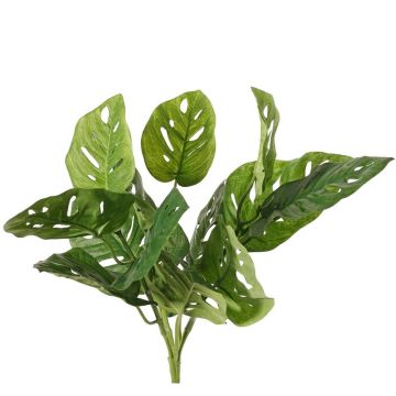 Filodendro artificiale Monstera adansonii ARKADIO, bastone, 40 cm