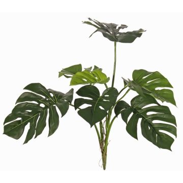Philodendron Monstera Deliciosa decorativo CHANIA, crossdoor, bastoncino, 75cm Philodendron Monstera Deliciosa decorativo CHANIA, crossdoor, bastoncino, 75cm