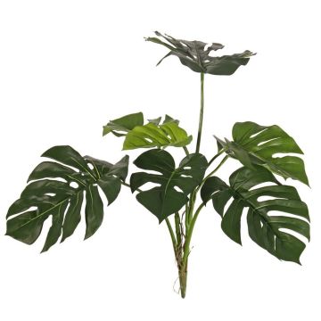 Philodendron Monstera Deliciosa decorativo CHANIA, crossdoor, bastoncino, 75 cm