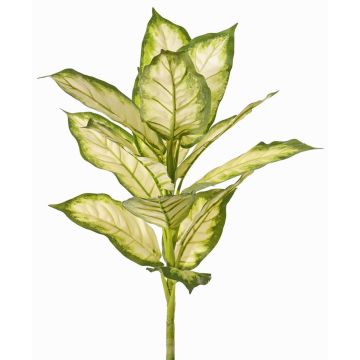 Dieffenbachia artificiale VISP, difficilmente infiammabile, bastoncino, verde-crema, 40cm Dieffenbachia artificiale VISP, difficilmente infiammabile, bastoncino, verde-crema, 40cm