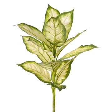 Dieffenbachia artificiale VISP, difficilmente infiammabile, bastoncino, verde-crema, 40 cm