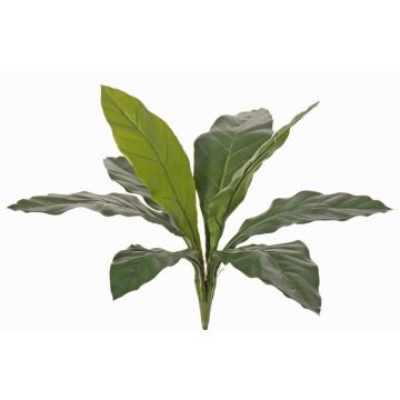 Pianta artificiale giglio WORB, crossdoor, bastoncino, verde, 70cm Pianta artificiale giglio WORB, crossdoor, bastoncino, verde, 70cm