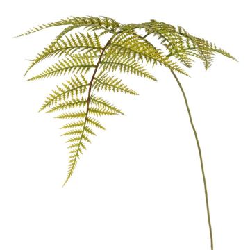 Foglia di felce artificiale HINWIL, verde, 80 cm
