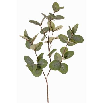Ramo artificiale eucalipto EMMENDA, verde, 80cm Ramo artificiale eucalipto EMMENDA, verde, 80cm