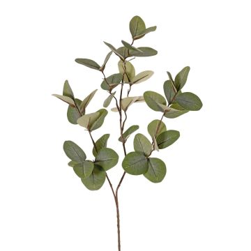 Ramo artificiale eucalipto EMMENDA, verde, 80 cm Ramo artificiale eucalipto EMMENDA, verde, 80 cm