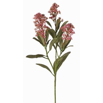 Ramo artificiale skimmia LAUSANA con fiori, malva, 65cm, Ø7cm Ramo artificiale skimmia LAUSANA con fiori, malva, 65cm, Ø7cm
