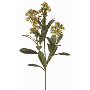 Ramo artificiale di skimmia LAUSANA con fiori, verde, 65cm, Ø7cm Ramo artificiale di skimmia LAUSANA con fiori, verde, 65cm, Ø7cm
