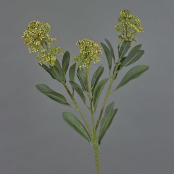 Ramo artificiale di skimmia LAUSANA con fiori, verde, 65 cm