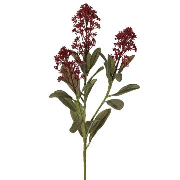 Ramo artificiale di skimmia LAUSANA con fiori, rosso bordeaux, 65 cm