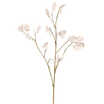 Ramo artificiale di lunaria KONIA, crema, 95 cm