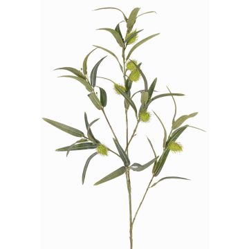 Ramo di euforbia TASMIN, frutti, verde, 95cm