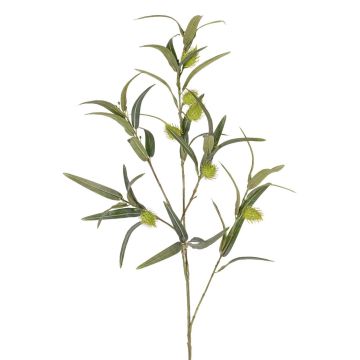 Ramo di euforbia TASMIN, frutti, verde, 95 cm