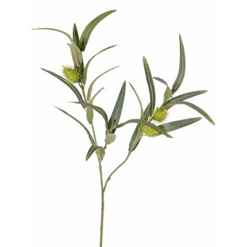 Ramo di euforbia finta TASMIN, frutti, verde, 65 cm