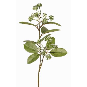 Ramo di corniolo artificiale PANGO con gemme, verde-bianco, 70cm, Ø7cm