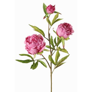 Ramo di peonia artificiale MANJA, viola, 70cm, Ø8-10cm Ramo di peonia artificiale MANJA, viola, 70cm, Ø8-10cm