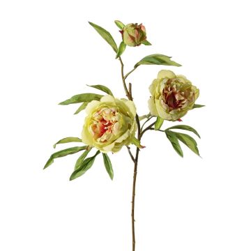 Ramo di peonia artificiale MANJA, verde-rosa, 70 cm, Ø 8-10 cm