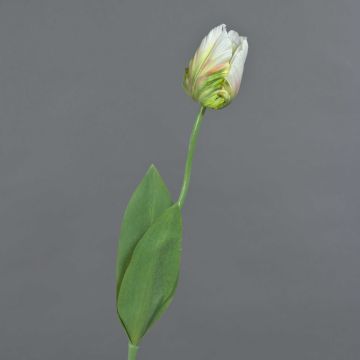 Fiore artificiale tulipano papagallo UAKARI, bianco-verde, 65 cm, Ø 6 cm