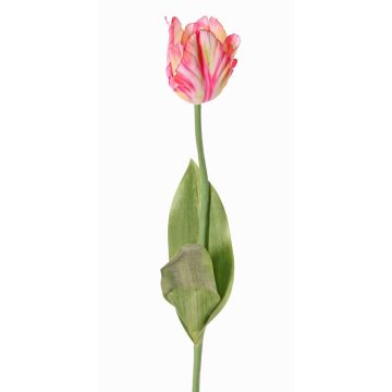Fiore artificiale tulipano papagallo UAKARI, rosa-crema-verde, 65cm, Ø6cm Fiore artificiale tulipano papagallo UAKARI, rosa-crema-verde, 65cm, Ø6cm