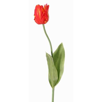 Fiore artificiale tulipano papagallo UAKARI, rosso-arancione-verde, 65cm, Ø6cm Fiore artificiale tulipano papagallo UAKARI, rosso-arancione-verde, 65cm, Ø6cm