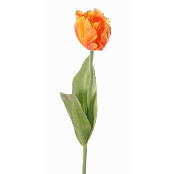 Fiore artificiale papagallo UAKARI, arancione-giallo, 65cm, Ø6cm Fiore artificiale papagallo UAKARI, arancione-giallo, 65cm, Ø6cm