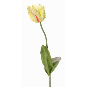 Fiore artificiale papagallo UAKARI, giallo-verde-fucsia, 65cm, Ø6cm Fiore artificiale papagallo UAKARI, giallo-verde-fucsia, 65cm, Ø6cm