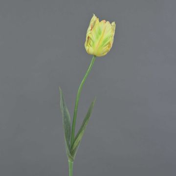 Fiore artificiale papagallo UAKARI, giallo chiaro-verde-rosa, 65 cm, Ø 6 cm