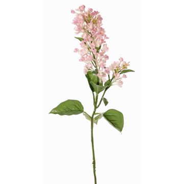 Ramo decorativo lillà ADMIR, rosa-crema, 80cm, Ø6-9cm Ramo decorativo lillà ADMIR, rosa-crema, 80cm, Ø6-9cm