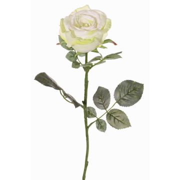 Rosa finta HUSA, bianco-verde, 75 cm, Ø10 cm Rosa finta HUSA, bianco-verde, 75 cm, Ø10 cm