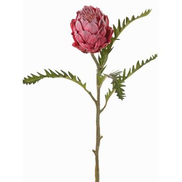 Protea finta BREGANSA, fucsia antico, 65cm, Ø7cm Protea finta BREGANSA, fucsia antico, 65cm, Ø7cm
