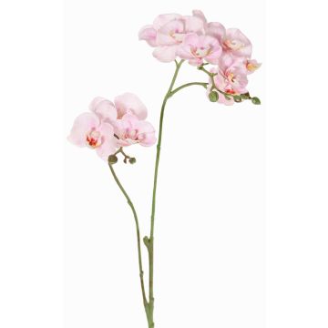 Ramo artificiale orchidea Phalaenopsis VILLANI, rosa-bianco, 60cm, Ø3,5-5cm
