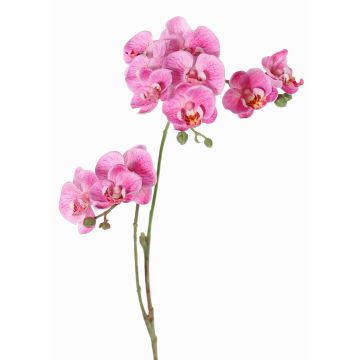 Ramo artificiale di orchidea Phalaenopsis VILLANI, rosa-fucsia, 60cm, Ø3,5-5cm Ramo artificiale di orchidea Phalaenopsis VILLANI, rosa-fucsia, 60cm, Ø3,5-5cm
