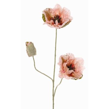 Ramo decorativo di papavero MODLING, rosa, 75cm, Ø12cm Ramo decorativo di papavero MODLING, rosa, 75cm, Ø12cm