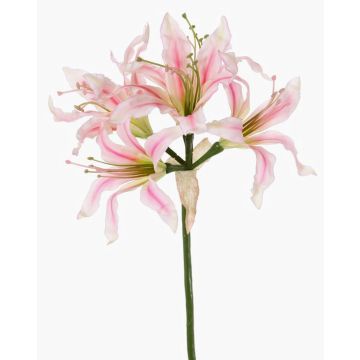 Fiore artificiale amarillide da giardino KUSTANA, rosa-crema-verde, 70cm, Ø10-16cm