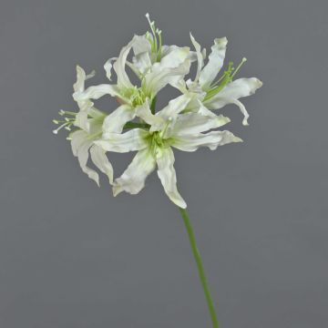 Fiore artificiale amarillide da giardino KUSTANA, bianco, 70 cm, Ø 20 cm Fiore artificiale amarillide da giardino KUSTANA, bianco, 70 cm, Ø 20 cm