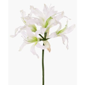 Fiore artificiale amarillide da giardino KUSTANA, bianco-verde, 70cm, Ø10-16cm