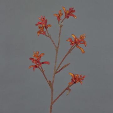 Fiore decorativo di canguro LEOBER, rosso-arancio, 75 cm
