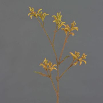 Fiore decorativo di canguro LEOBER, arancione-giallo, 75 cm