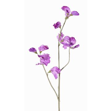 Ramo di fiori artificiali Lathyrus ASFALOTH, lilla, 65cm, Ø3-5cm Ramo di fiori artificiali Lathyrus ASFALOTH, lilla, 65cm, Ø3-5cm
